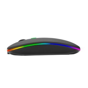 EVEREST SM-BT11 USB 2in1 Bluetooth 2.4 GHz Şarj Edilebilir Kablosuz Mouse
